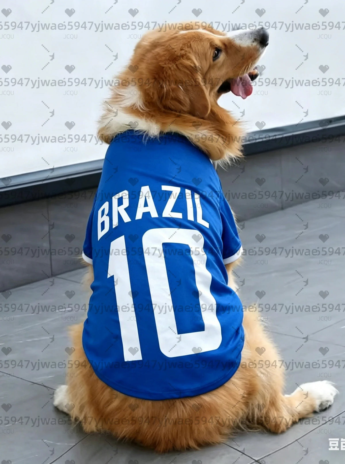 A golden retriever wearing a blue football jersey vest with the word BRAZIL and the number 10.