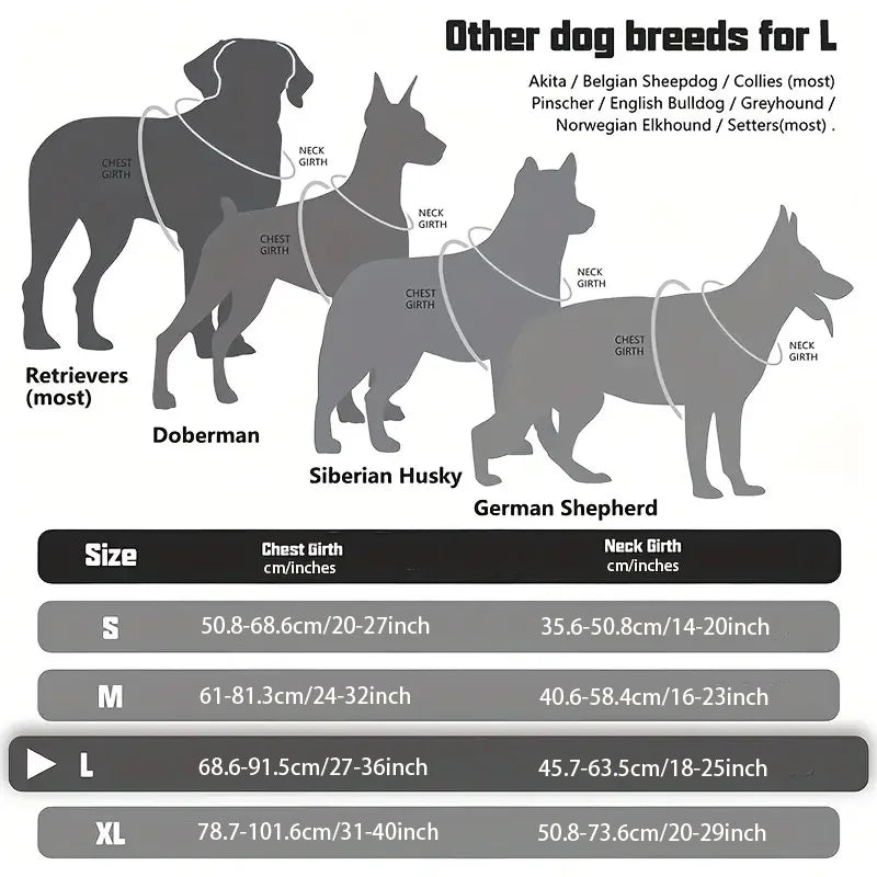 A comparison chart showing sizes for different dog breeds including Retrievers, Doberman, Siberian Husky, and German Shepherd
