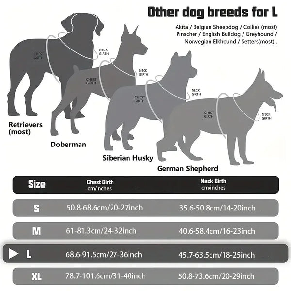 A comparison chart showing sizes for different dog breeds including Retrievers, Doberman, Siberian Husky, and German Shepherd
