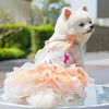 A white dog wearing a colorful rainbow butterfly pet dress, with sheer pink and orange fabric spilling out.