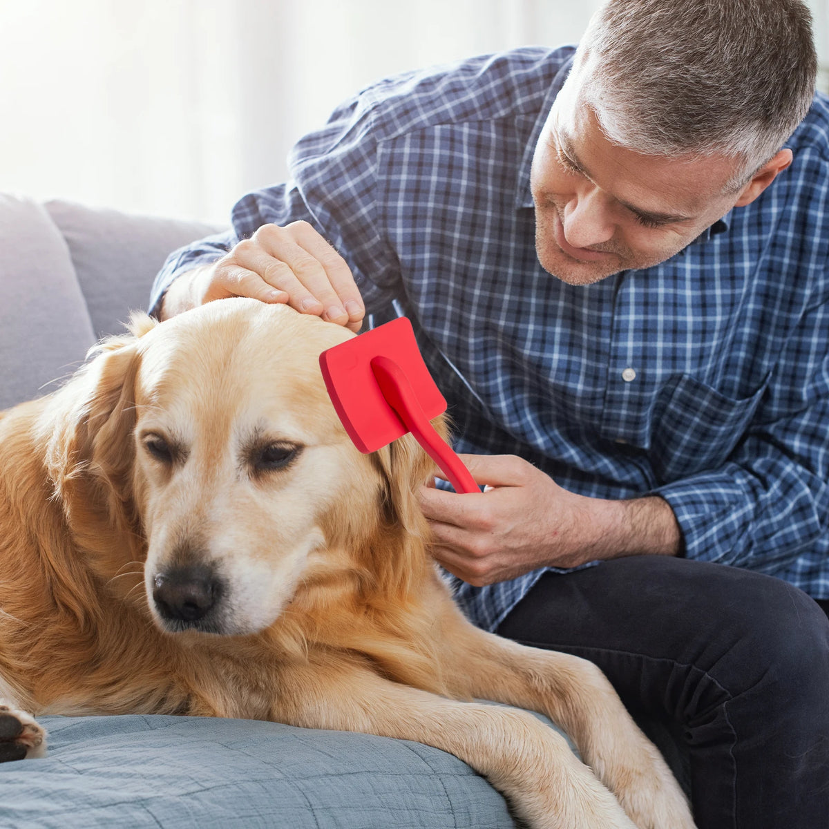 Un hombre usa un cepillo de pelaje rojo en el pelaje de un golden retriever que descansa en un sofá.