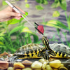 A hand uses stainless steel feeding tongs with rubber tips to feed a small tortoise into a pile of smooth stones.