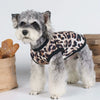 A fluffy gray dog wearing a leopard print vest standing next to a wooden block.
