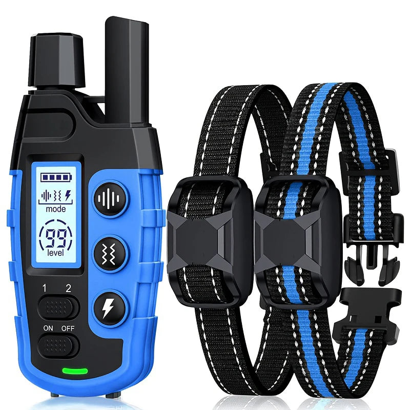 Schwarzer Elektrodog-Trainingskragen mit blauem Gehäuse und schwarzem Nylonriemen.