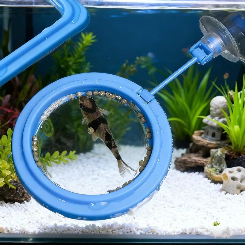 A blue feeding ring with a suction cup is shown in an aquarium setting, positioned over white gravel.