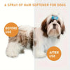 Comparación antes y después de un spray natural para suavizar el pelo de un perro.