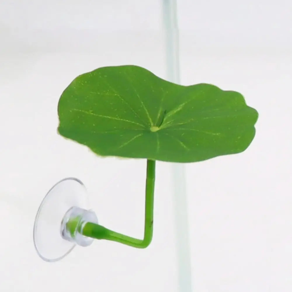 Une feuille de lotus simulée vert vif flottant dans l'eau claire.