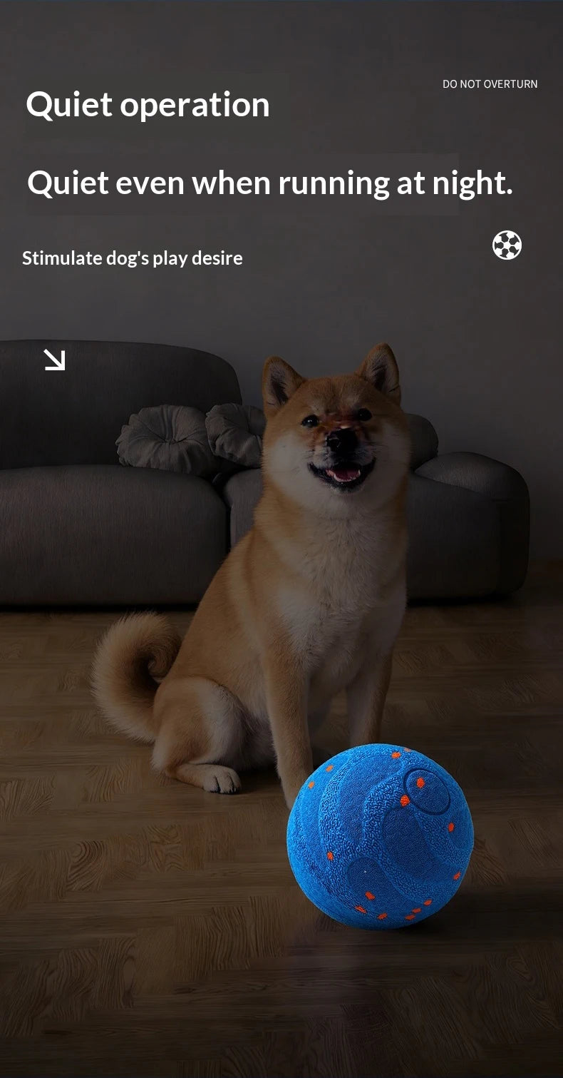 A happy dog sits on a couch next to an orange blue chew ball in a dimly lit room.