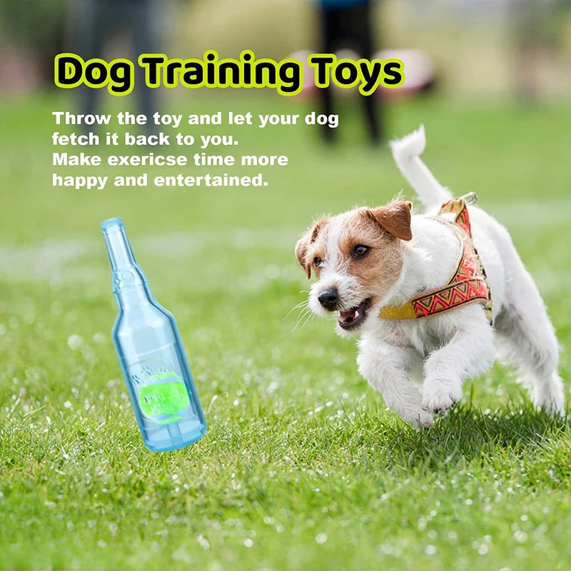 A small dog is running to fetch a blue squeaky tennis ball toy in a grassy field.