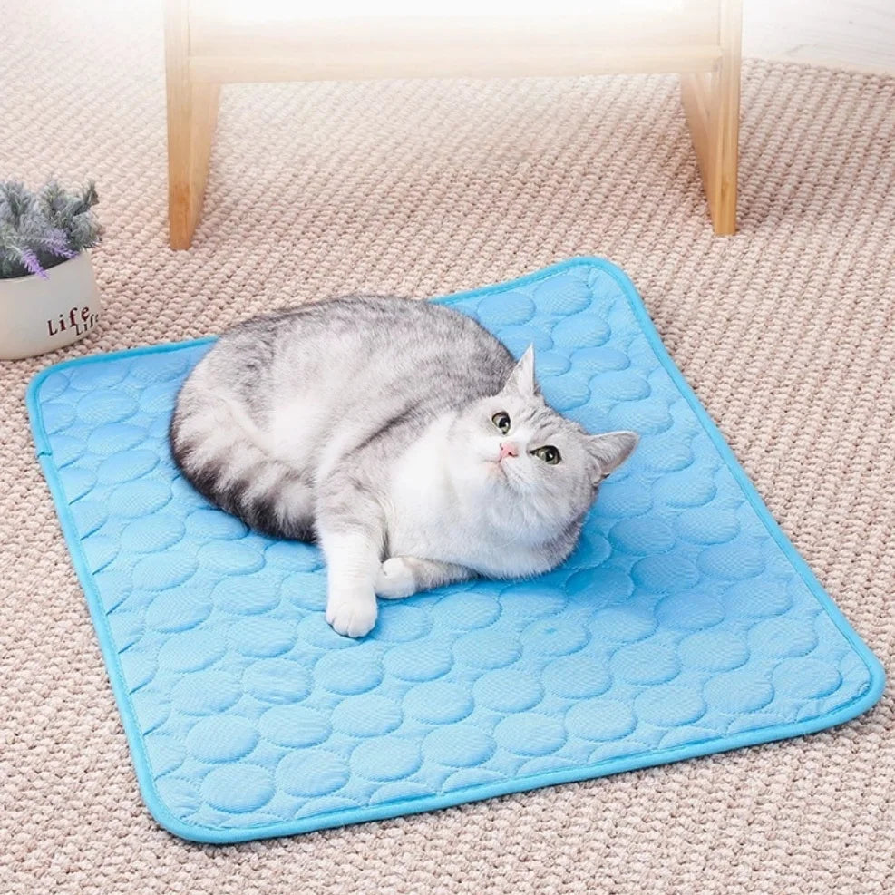 A fluffy gray and white cat is lying on a bright blue cooling pet mat on a beige carpet.