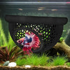 Schwarzes Betta-Versteck-Hängematte und Futterring für ein Aquarium vor grünem Wasserpflanzenhintergrund.