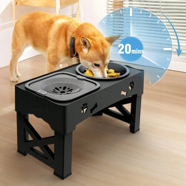 An orange dog is eating from an elevated bowl stand designed for dogs.