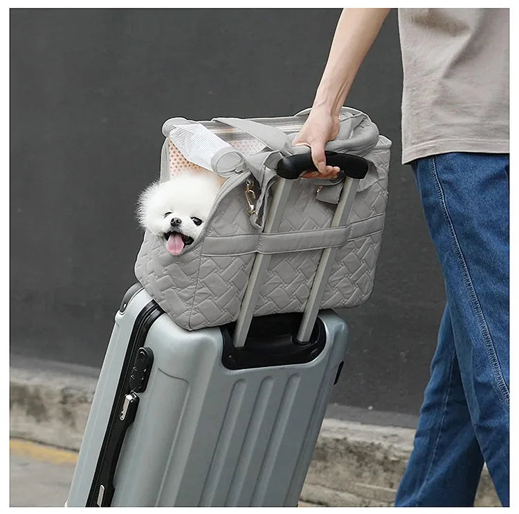 A person is carrying a gray portable pet carrier bag with a fluffy white dog peeking out.