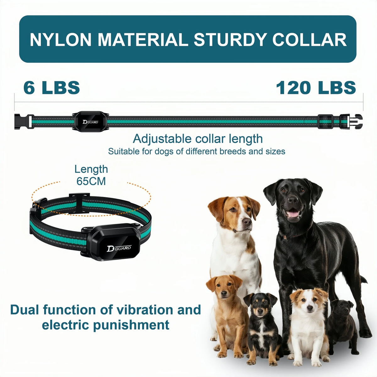 A nylon material sturdy collar with an adjustable length shown next to dogs.