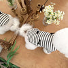 A striped pet dress for a small dog featuring white fur and gold decorative elements.