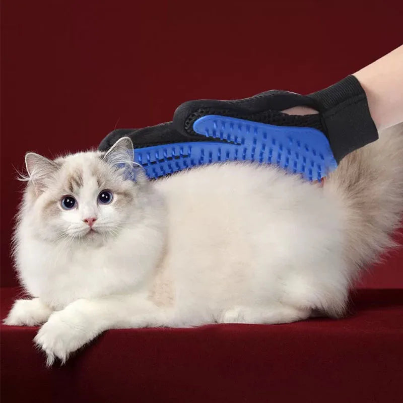 Ein flauschiger weißer Kater ruht auf einer roten Oberfläche, mit einem Silikon-Tierhaarbürste und Massagebürste sichtbar nah