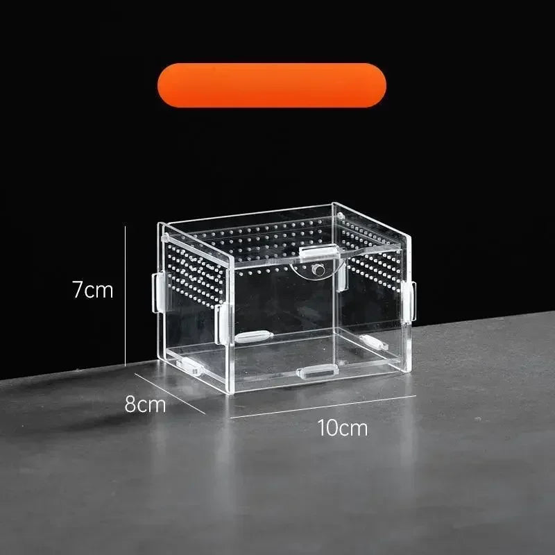 حوض زواحف من الأكريليك الشفاف لصندوق تكاثر مع ضوء مؤشر برتقالي ساطع