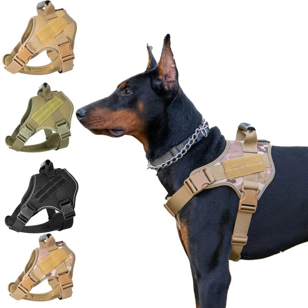 A black dog wearing a tactical harness with a reflective vest, shown alongside various harness components.
