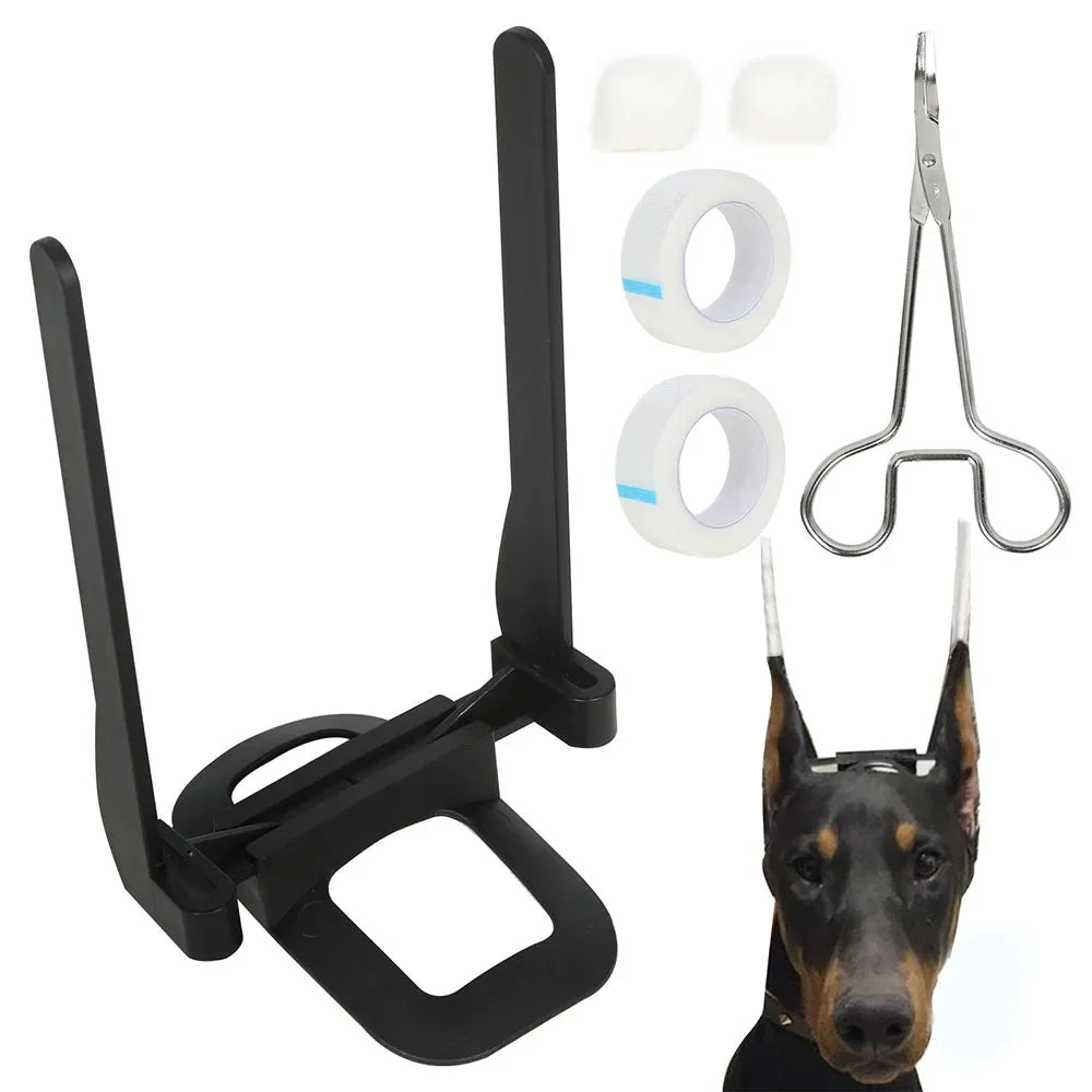 Un outil de redressage et de correction pour oreilles de doberman noir avec divers accessoires, à côté de la tête d'un chien.