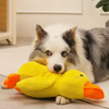 A fluffy white and gray dog lies next to a bright yellow plush duck toy.