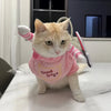 Un chat orange et blanc duveteux portant une combinaison rose avec l'inscription Good Dogs sur la poitrine.