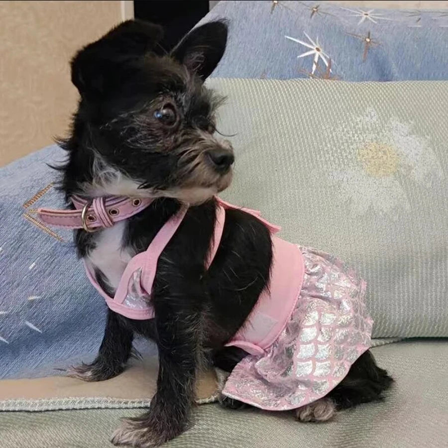 A small black and white dog wearing a pink sequined summer swimsuit for pets.