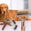 A golden retriever lies next to a set of double-sided grooming combs and brushes.