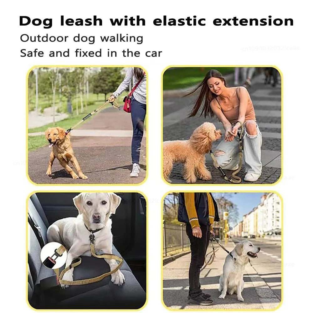 A dog wearing a reflective bungee leash is shown being walked outdoors and secured in a car.