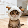 A tabby kitten wearing a white bear cap pet head cover.