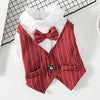 Chaleco de rayas rojas sobre una camisa blanca con pajarita a juego, mostrado sobre una superficie blanca.