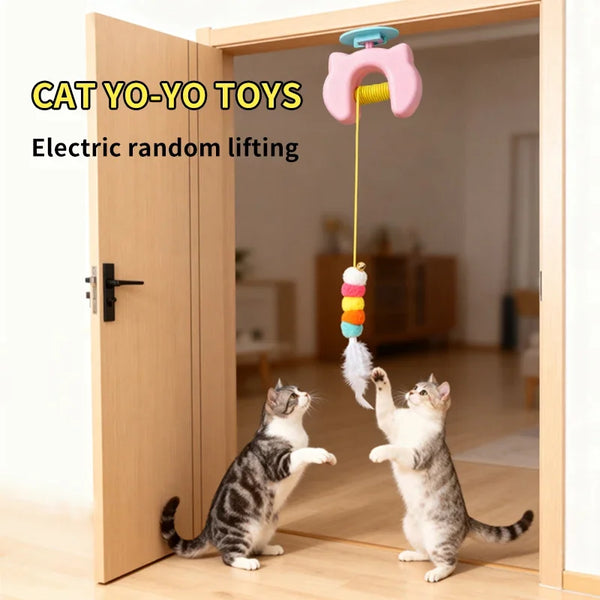 Eine Katze spielt mit einem elektrischen Yo-Yo-Spielzeug, das einen Federstab hebt und schwingt.