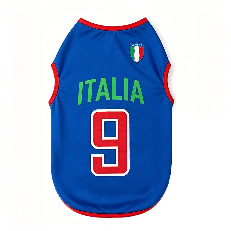 Blue and red sports team vest with the number 9 and the word ITALIA printed on the front