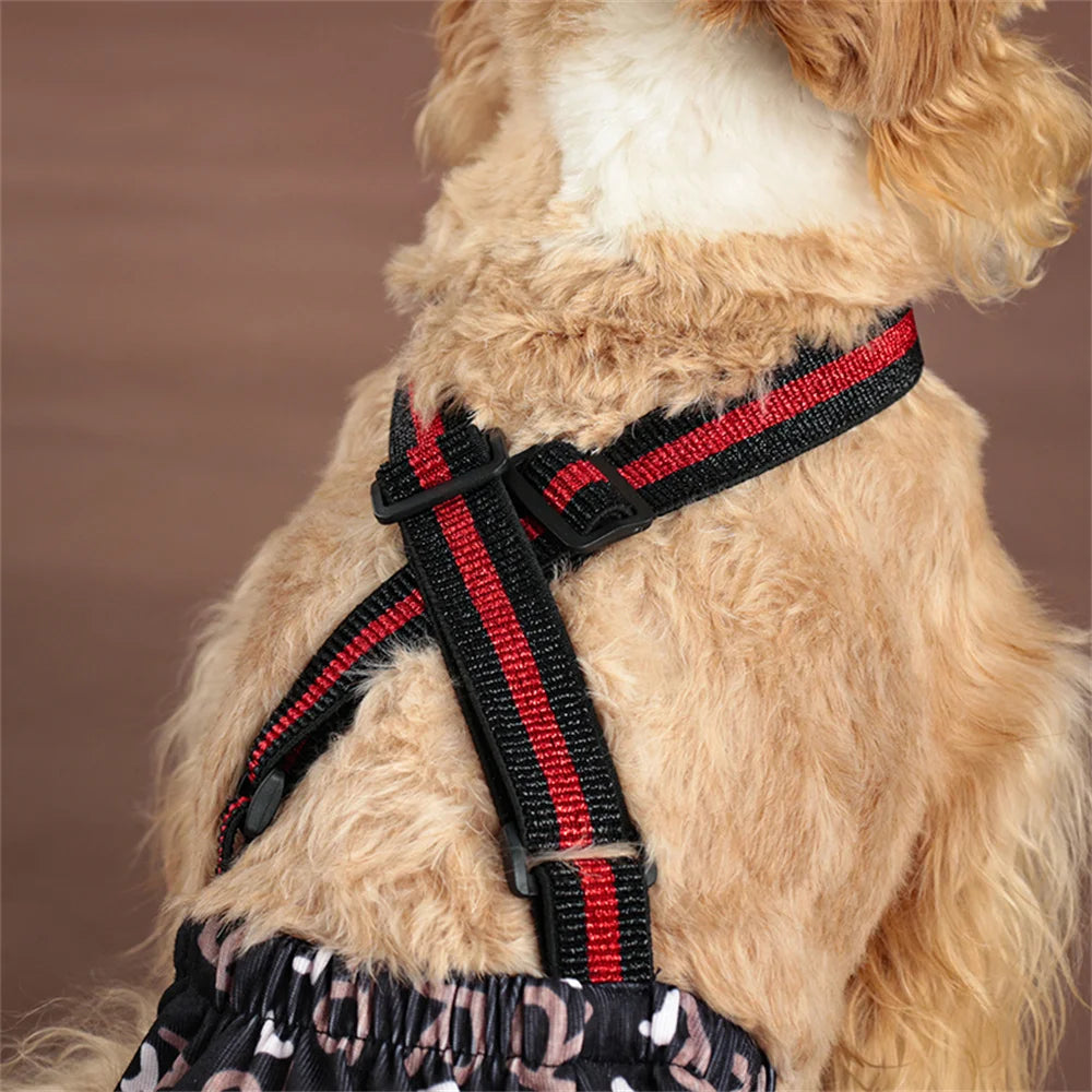 Ein Hund trägt ein wiederverwendbares, schwarz-rotes physiologisches Geschirr oder Shorts.