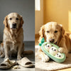 A golden retriever dog is lying down next to a plush squeaky sausage chew toy and a pair of dog shoes.