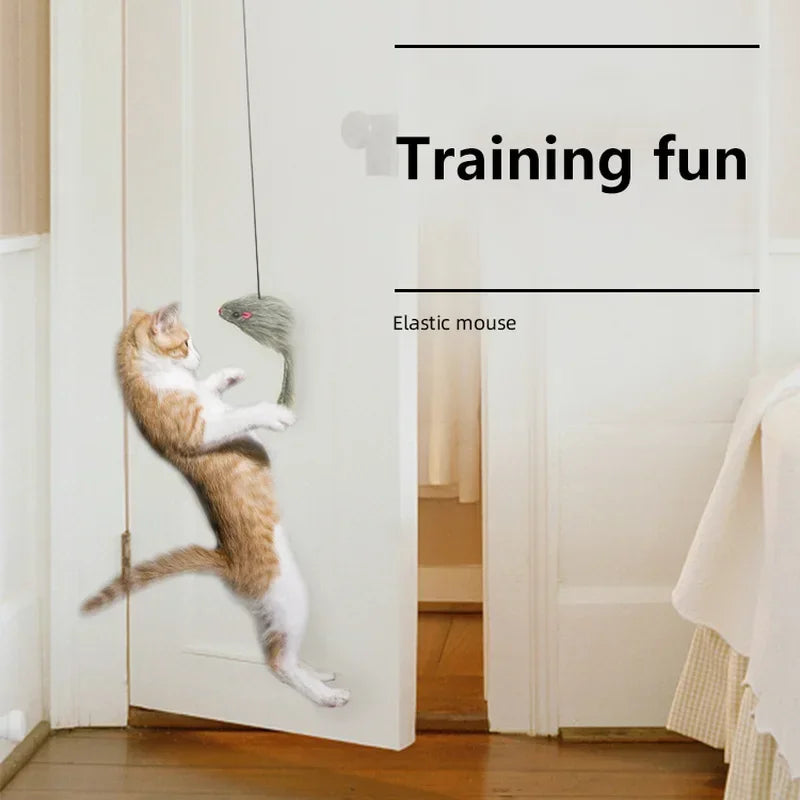 A cat is playing with an elastic mouse toy hanging from a stick inside a white door frame.