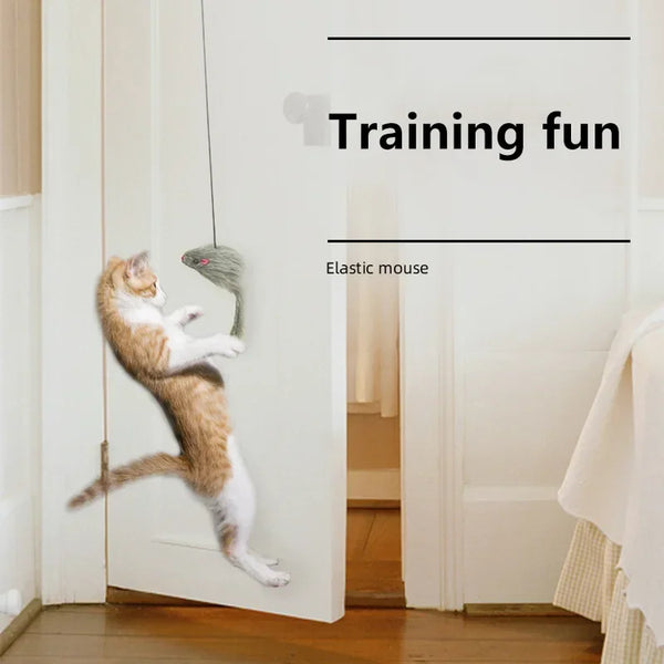 A cat is playing with an elastic mouse toy hanging from a stick inside a white door frame.