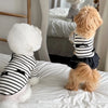 A white fluffy dog wearing a black and white striped dress with a spring bow collar and flying sleeves.