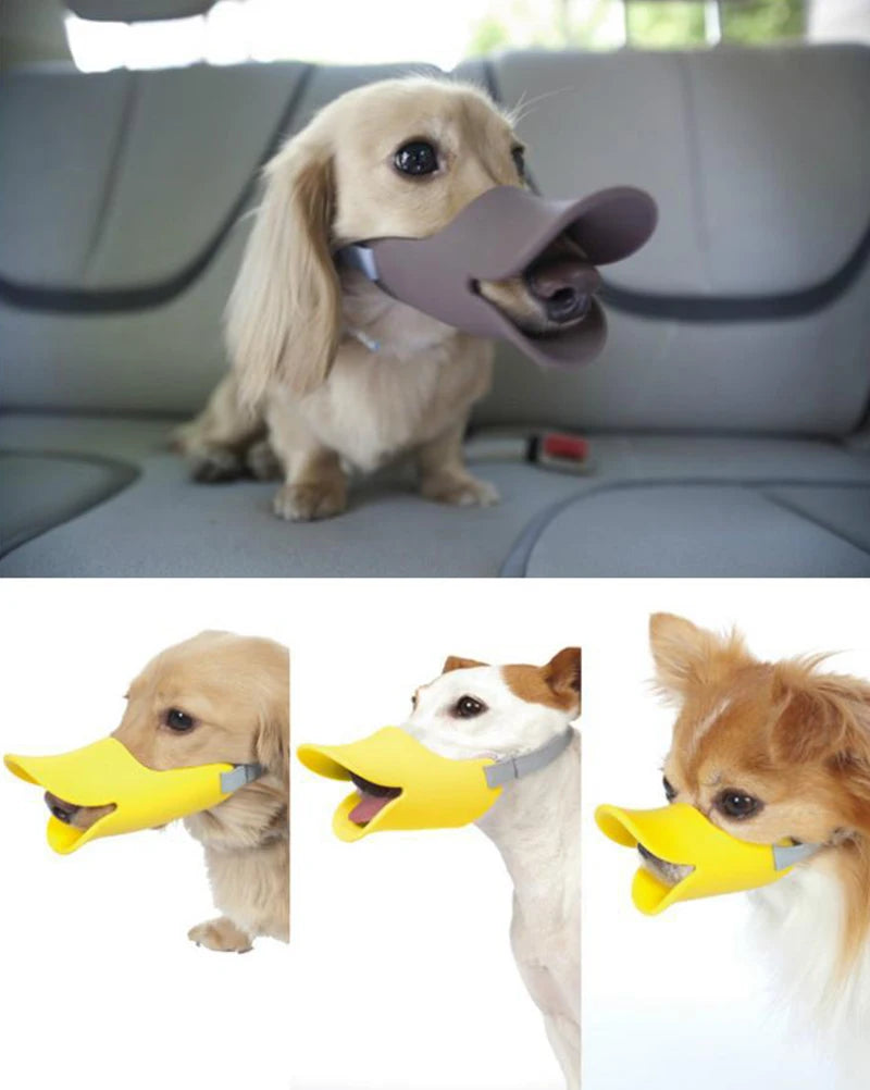 A small dog is wearing a yellow training muzzle for quack-free training.