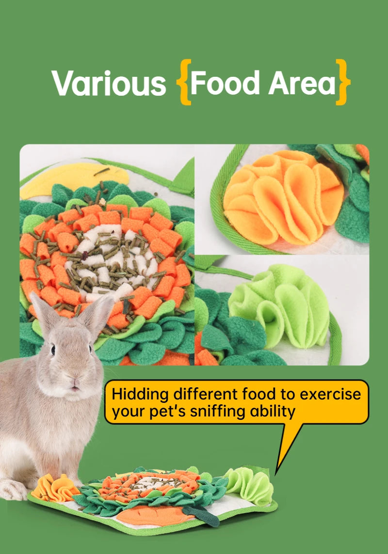 A rabbit is shown near a mat with various food items hidden to exercise its sniffing ability.