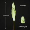 A vertical view of a green artificial snake plant with two leaves, shown without a pot.