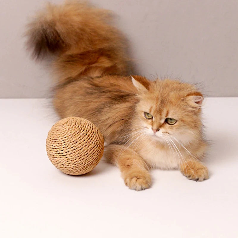 A fluffy orange tabby cat resting next to a natural sisal scratching ball.