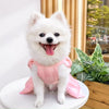 A fluffy white dog wearing a pink solid color pet dress with a D-ring.