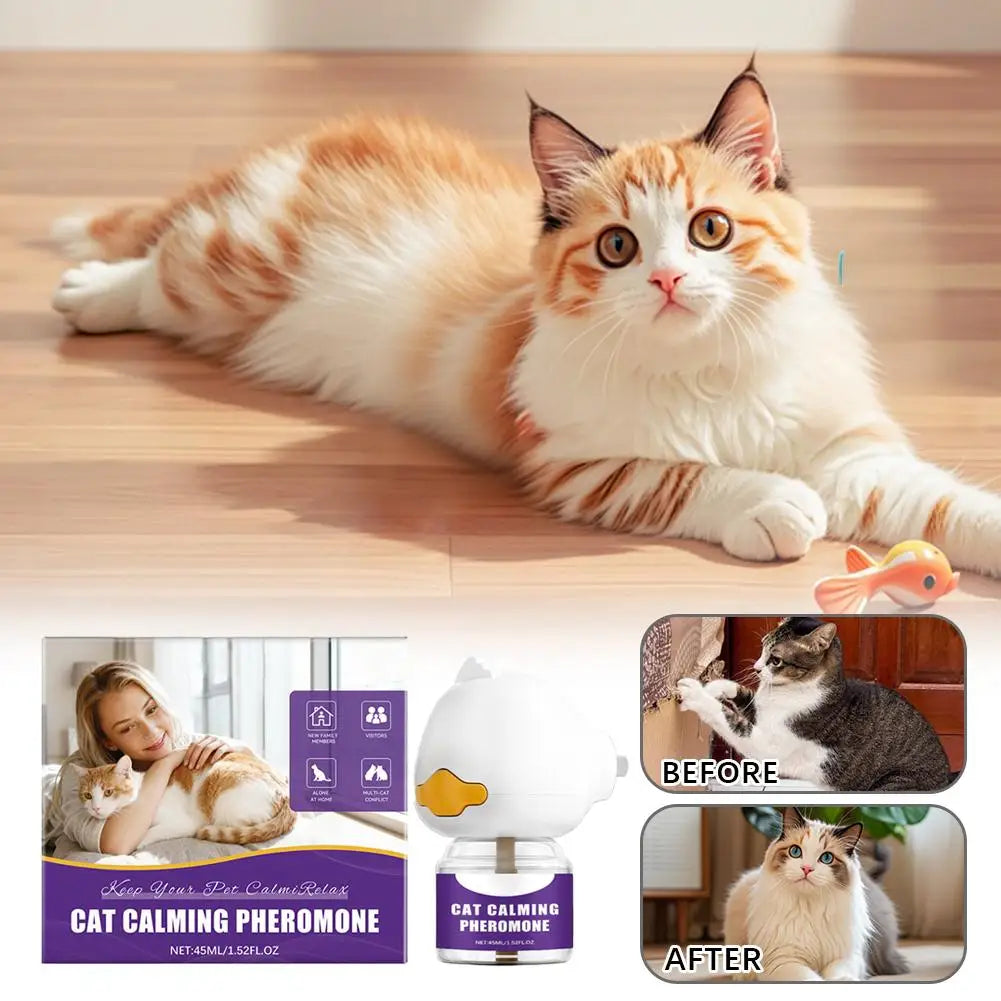 A fluffy orange and white cat is shown next to a diffuser device used for calming pheromone relief.