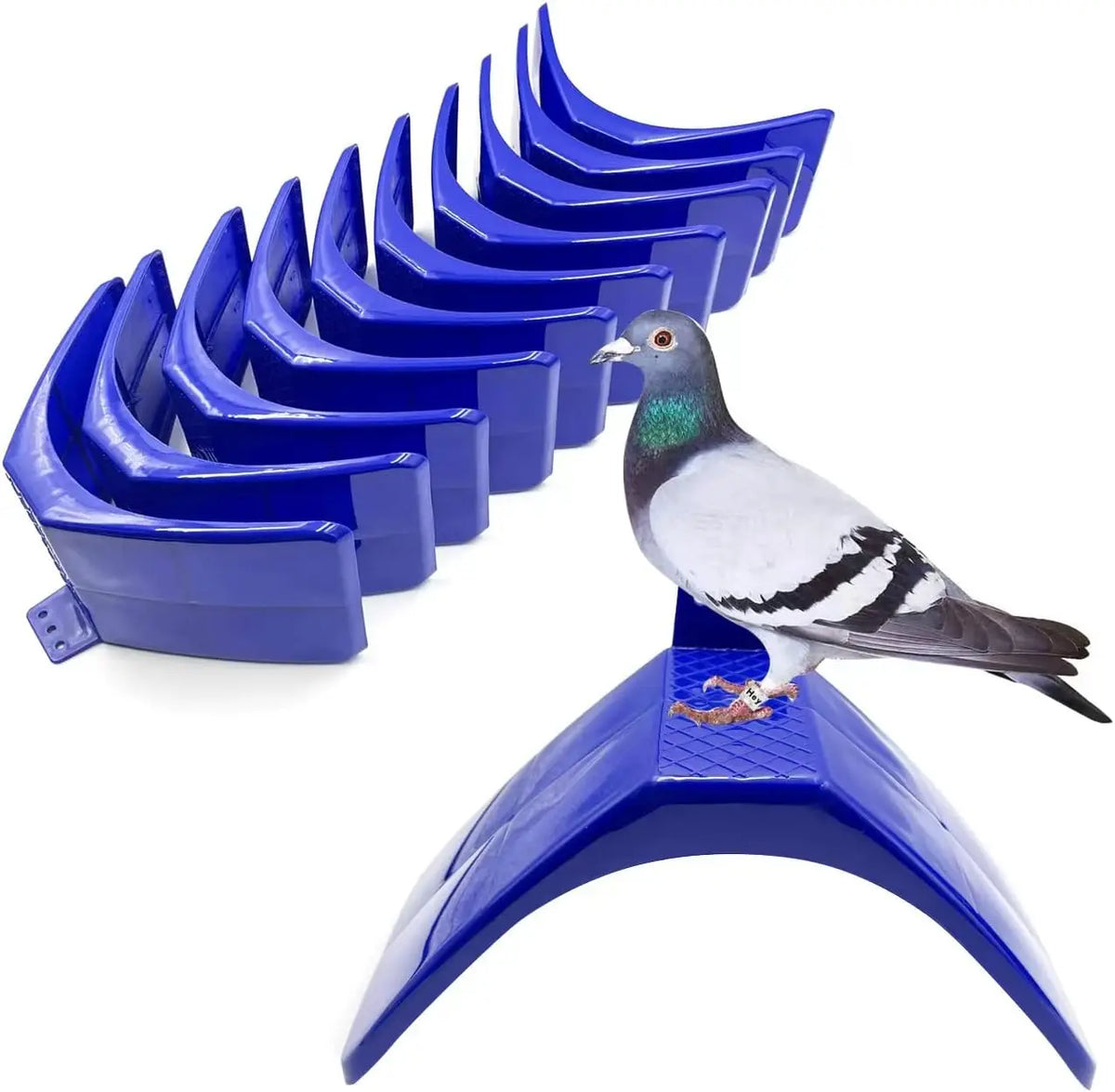 Ein Set von 20 blauen Tauben- und Pfauenständer in einer gewellten, gestuften Präsentation.