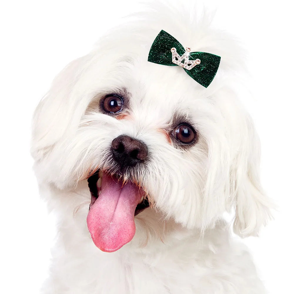 A white dog with fluffy hair wearing a dark green glitter bow clip on its head.