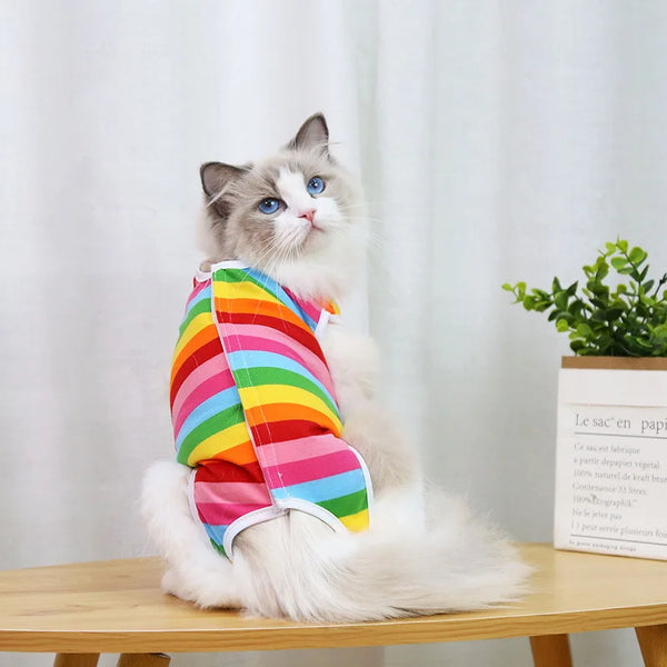 A fluffy gray and white cat wearing a colorful striped recovery vest for post-surgery protection.