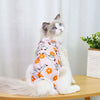 A fluffy gray and white cat wearing a pink recovery vest with orange floral patterns.