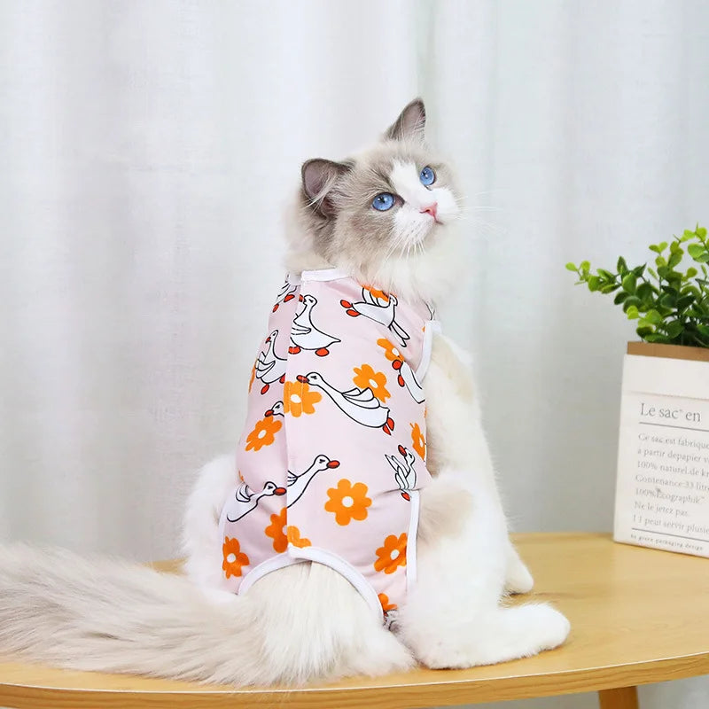A fluffy gray and white cat wearing a pink recovery vest with orange floral patterns.
