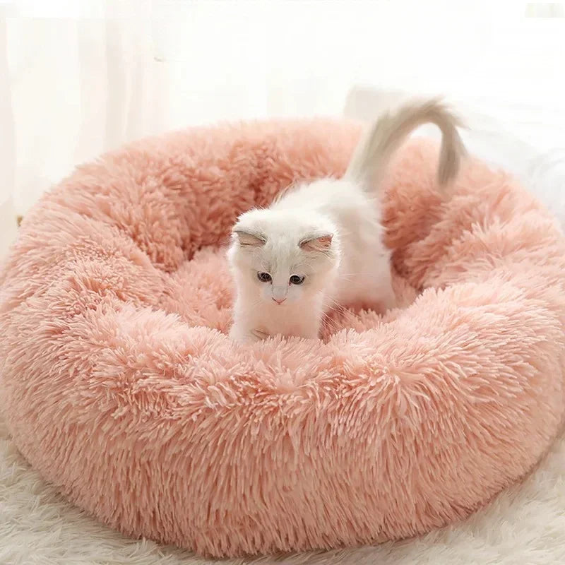 A small white kitten is nestled inside a round, pink plush faux fur bed.
