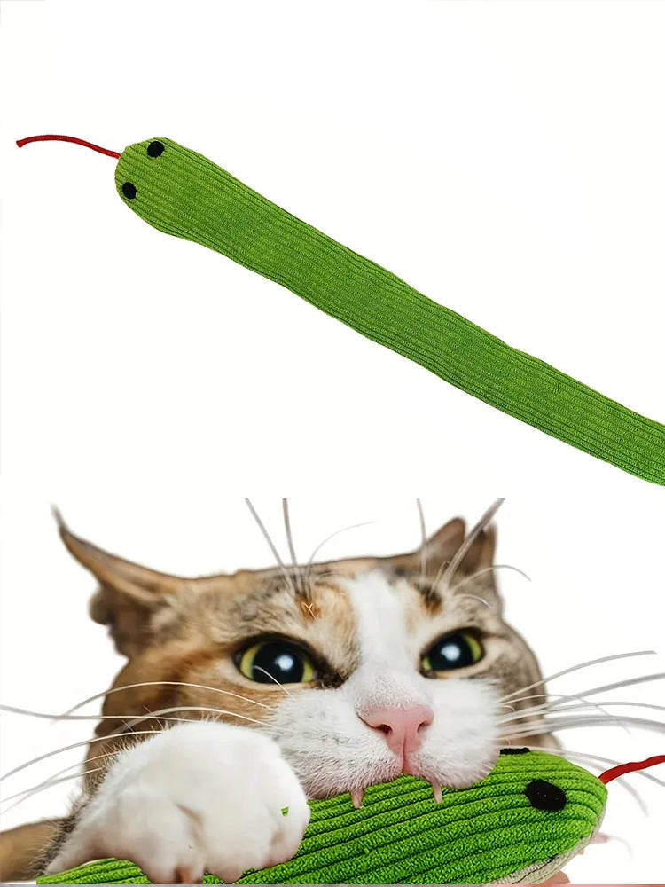Eine Katze interagiert mit einem grünen Knisterspielzeug, das wie ein langer, flexibler grüner Schlauch aussieht.